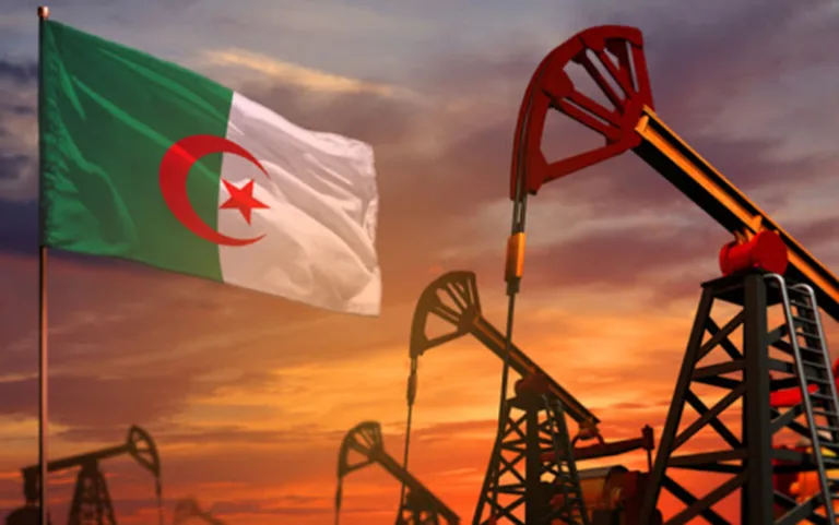 *Algeria Aims for 80% Local Transformation of Hydrocarbons and Minerals