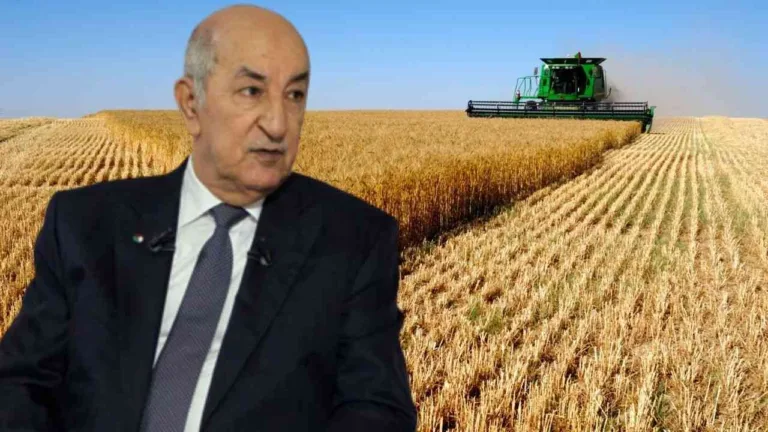 President Tebboune: "If Artificial Intelligence Brings Us Wheat, It Is Welcome"