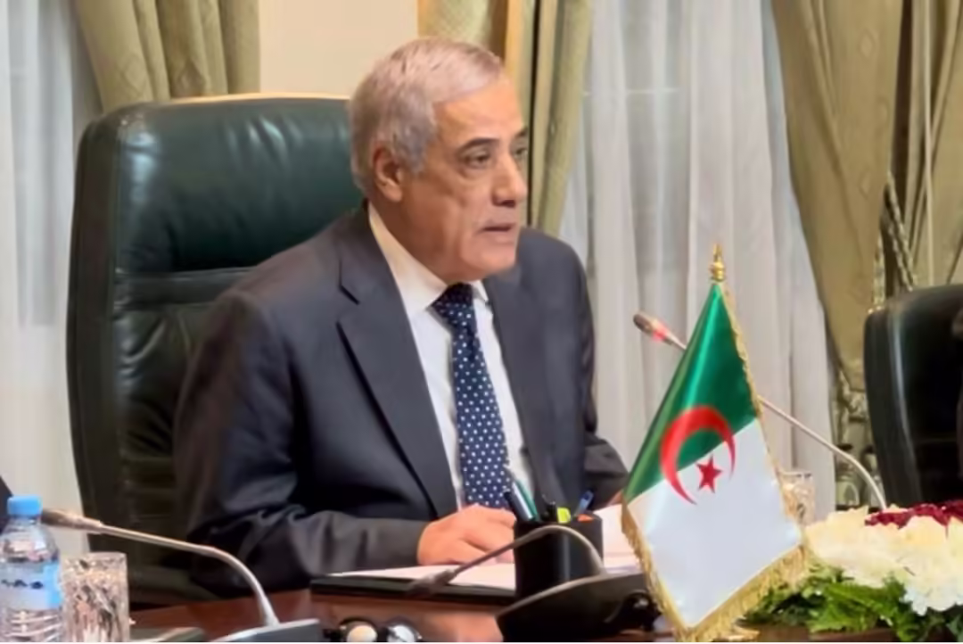 Algeria’s Government Meeting: Multiple Agenda Items Addressed