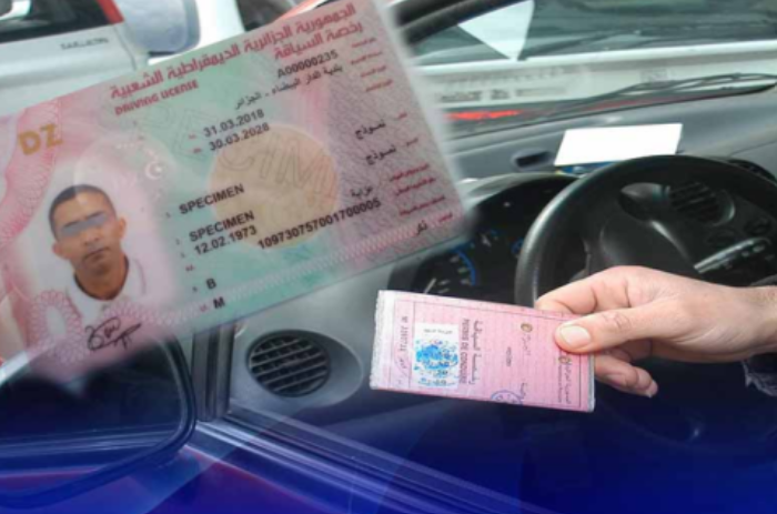 Comprehensive Implementation of Biometric Driver's Licenses Across Algeria