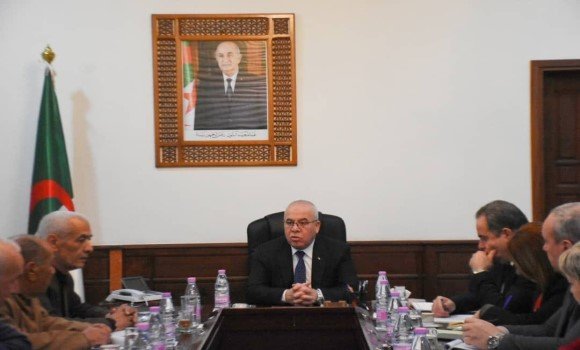Strengthening Algeria’s Red Meat Industry: A Commission to Boost Domestic Production