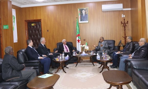 Algeria-Italy Partnership to Launch Sugar Cane, Cereal Cultivation Project in El-Meniaa