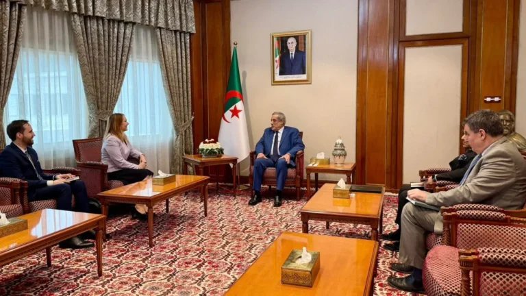 Algerian Premier Larbaoui Holds Diplomatic Talks with Slovenian Ambassador on Bilateral Cooperation and Global Issues