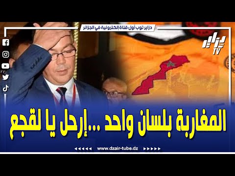 شاهد.. #فيديوغرافيك_ساخر ...حكومة #لقجع و #بوريطة تدخل في ورطة و ف.ضيحة بسبب نهاية قصة الخريطة