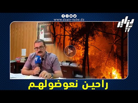 مدير الصندوق الجهوي للتعاون الفلاحي  بسطيف سيتم تعويض الفلاحين المتضررين بجنوب الولاية قريبا