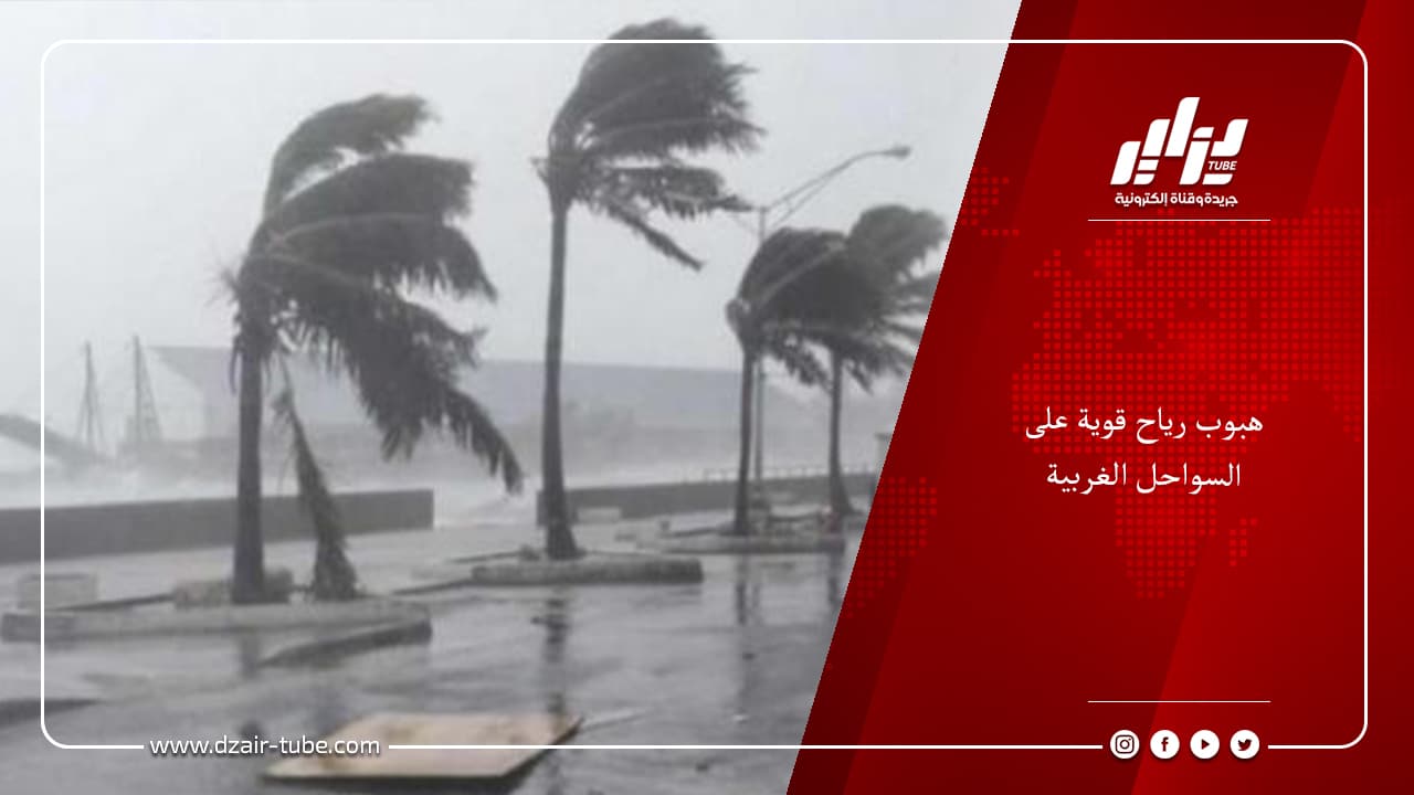 هبوب رياح قوية على السواحل الغربية 4 هبوب رياح قوية على السواحل الغربية