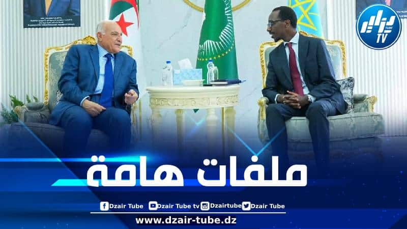 وزير الخارجية يتحادث مع نظيره الإثيوبي بأديس أبابا